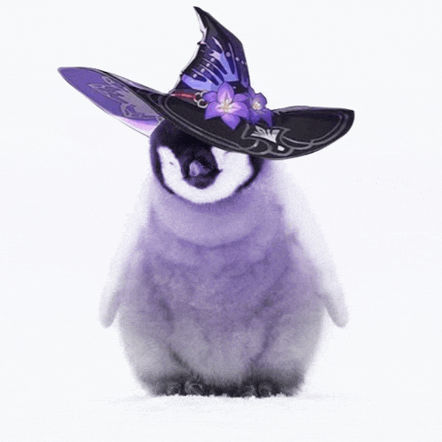 a baby penguin wearing a purple witch hat