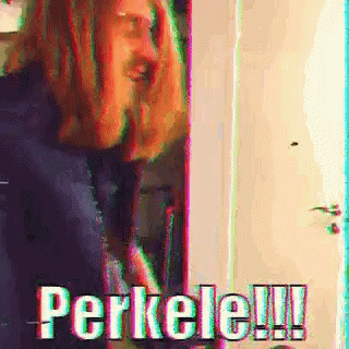 Perkele Letsgo GIF - Perkele Letsgo Party GIFs