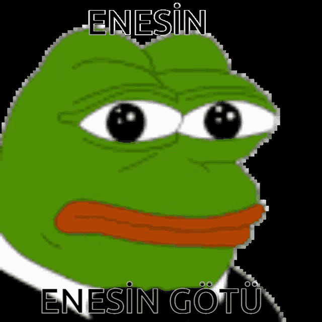 a cartoon of a frog with the words enesin enesin gotu