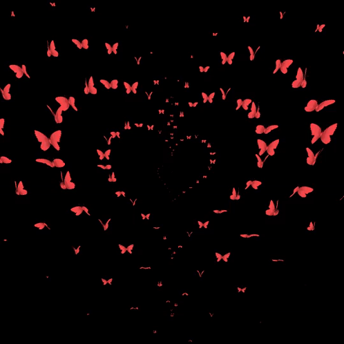 Butterflies Heart GIF - Butterflies Heart Hearts GIFs