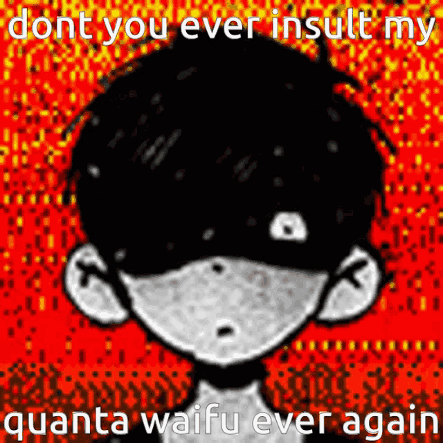 a drawing of a boy with the words " dont you ever insult my quanta waifu ever again " on it