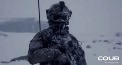 Soldier Arctic GIF - Soldier Arctic Winter GIFs