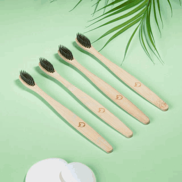 a box with toothbrushes and a night and day konjac sponge in it