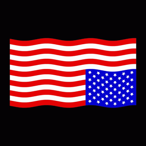 Fourth Of July Americancrisis GIF - Fourth Of July Americancrisis Upside Down Flag GIFs