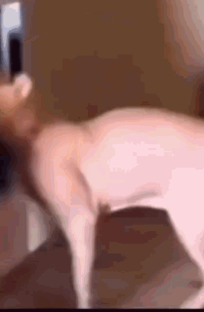 Meme Cat GIF - Meme Cat Wip GIFs