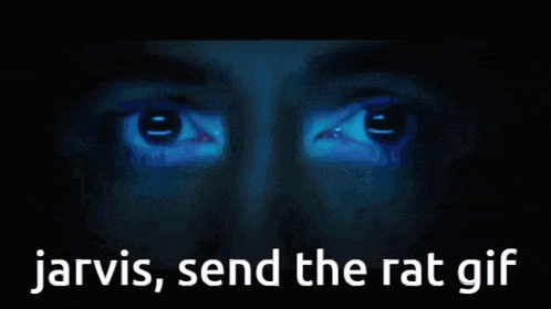 jarvis send the rat gif is displayed on a blue background