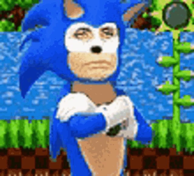 a pixel art of a sonic the hedgehog with a sad face .