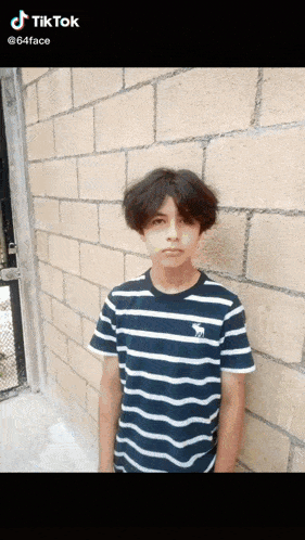a young boy wearing a blue and white striped shirt stands in front of a brick wall .