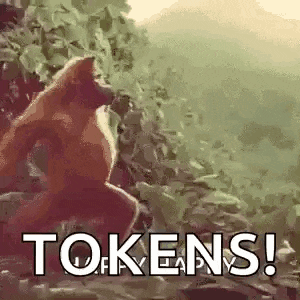 a monkey is sitting on a rock with the words `` tokens ! '' written on it .