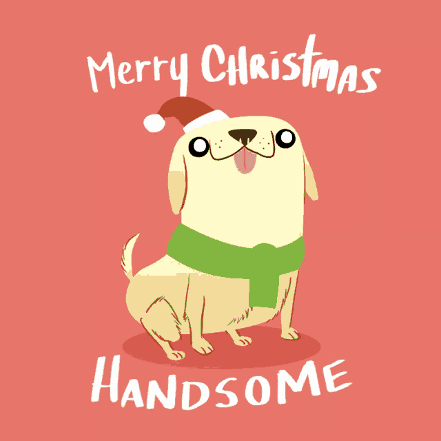a cartoon dog wearing a santa hat and scarf says merry christmas handsome