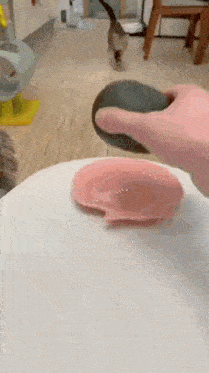a person is holding an avocado over a pink plate while a cat runs behind them .