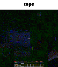 a screenshot of a video game that says cope