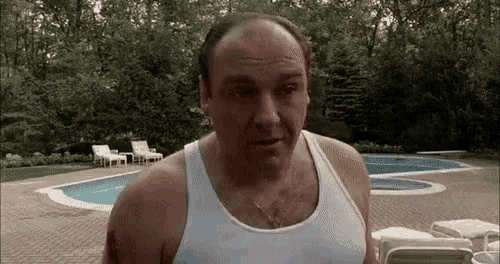 Tony Sopranos What GIF - Tony Sopranos What Cant Hear You GIFs