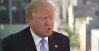 Never Mind Donald Trump GIF - Never Mind Donald Trump GIFs