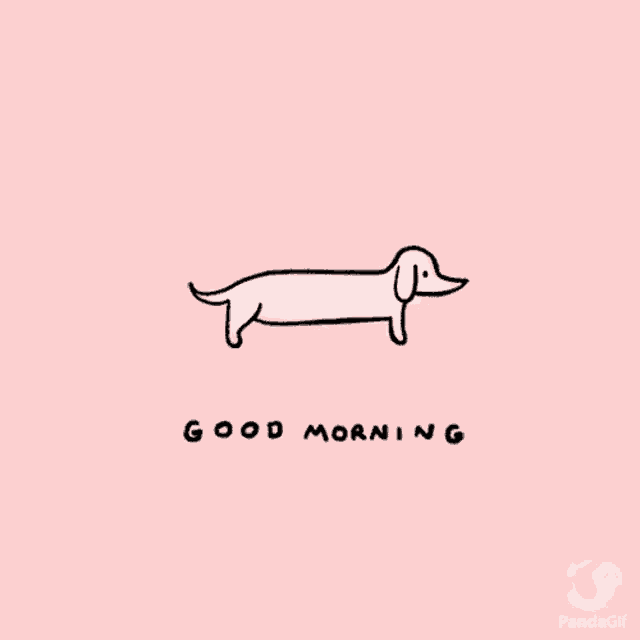 a drawing of a dolphin on a pink background with the word panda gif below it