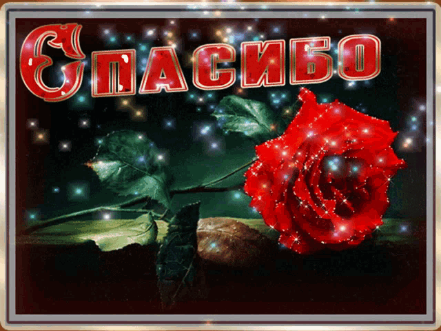 a greeting card with a red rose and the word " спасибо "