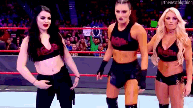 three female wrestlers are standing in a wrestling ring .
