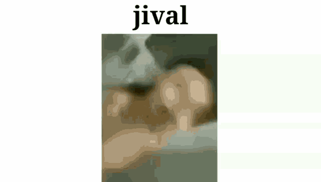 a close up of a man 's face with a mustache and the word jival .