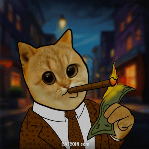 Catcoin Meme - Catcoin - Discover & Share GIFs