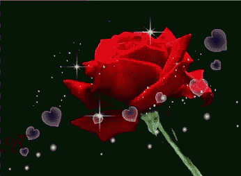 a red rose is surrounded by hearts and sparkles