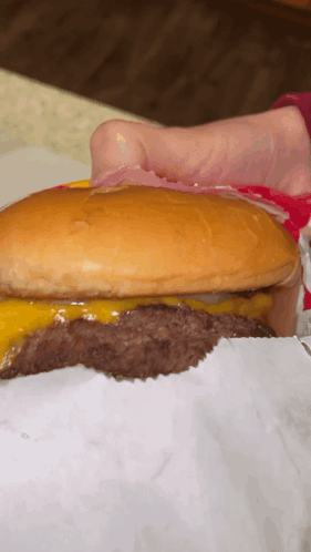 In N Out Burger GIF - In N Out Burger Cheeseburger GIFs