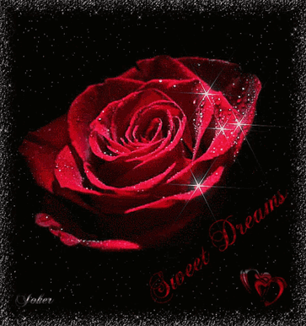 Good Night Sweet Dreams GIF