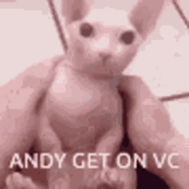 Andy GIF - Andy GIFs