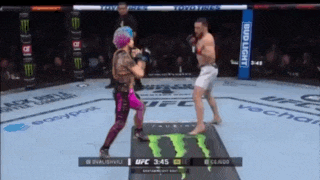 two fighters are fighting in a ufc ring with bud light in the corner
