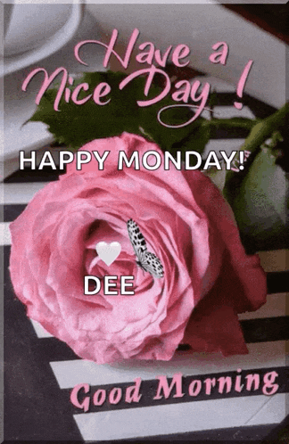 a pink rose with a butterfly on it and the words have a nice day and happy monday