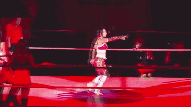 a wrestler in a ring with a sign that says hot house