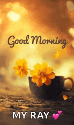 a cup of coffee with yellow flowers in it and the words good morning my ray
