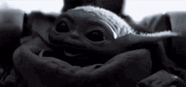 a baby yoda is sitting in a person 's arms in a black and white photo .