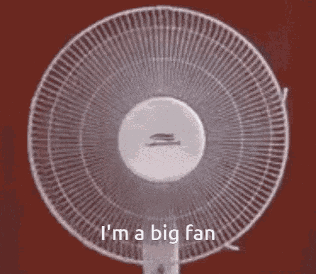Fan GIF - Fan GIFs