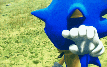 a blue sonic the hedgehog is standing in a field of grass