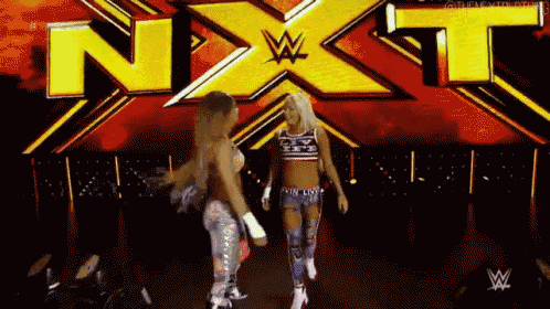 a couple of women standing next to each other on a stage in front of a sign that says next .