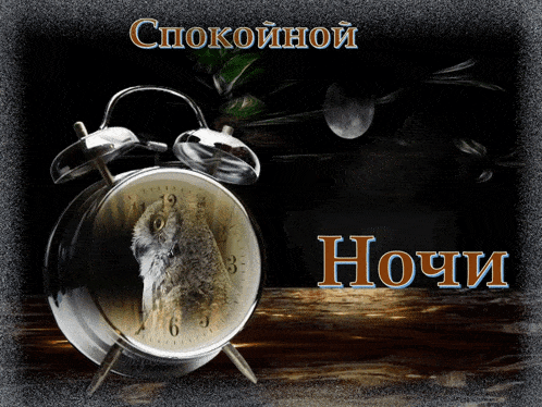 an alarm clock with an owl on it and the words " спокойной ночи "