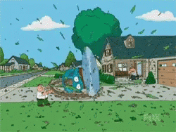 Petercopter Family Guy GIF - Petercopter Family Guy Peter GIFs