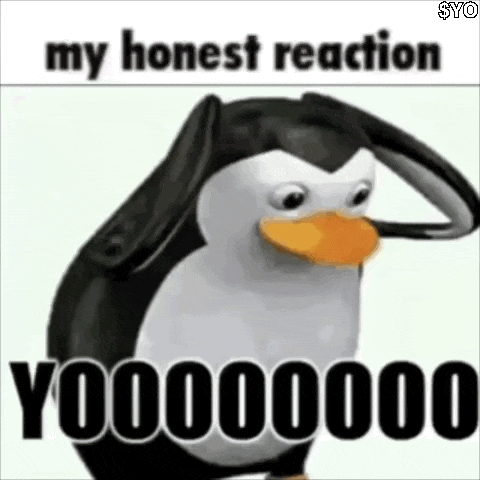 a penguin is saluting with the words `` my honest reaction yoooooo000 '' .