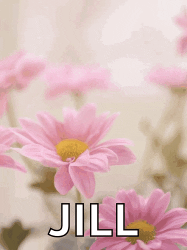 a happy mother 's day card with pink flowers