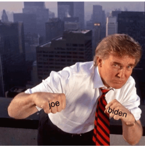 Joe Biden Donald Trump GIF - Joe Biden Donald Trump GIFs