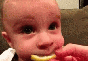 Baby Lemon GIF - Baby Lemon Sour GIFs