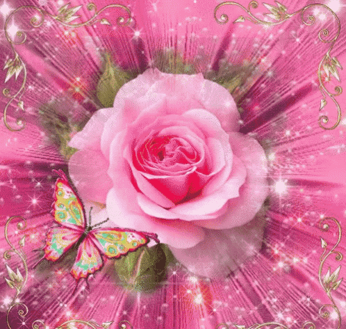 a pink rose with a butterfly sitting on it
