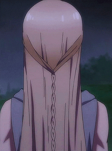 the back of a woman 's head with a braid in her hair