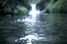 Froeszt Water GIF - Froeszt Water Lake GIFs