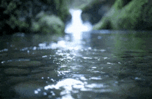 a river flowing through a forest with a waterfall in the background .
