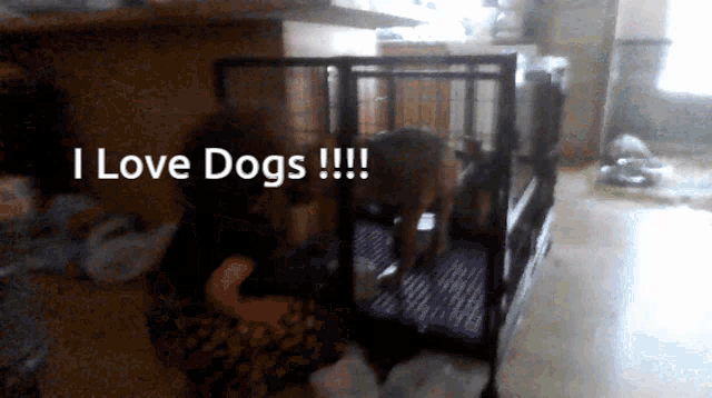 a dog in a cage with the words " i love dogs " above it