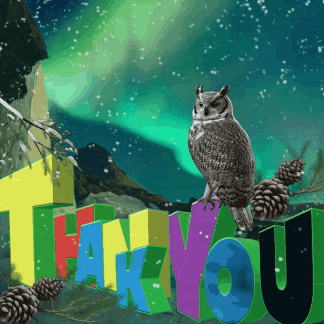 Thank You Owl GIF - Thank You Owl GIFs