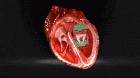 Liverpool Heartbeat GIF - Liverpool Heartbeat Pump GIFs