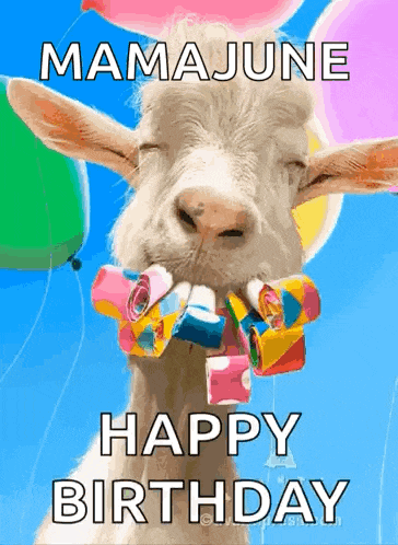 a goat with balloons and streamers in its mouth says happy birthday