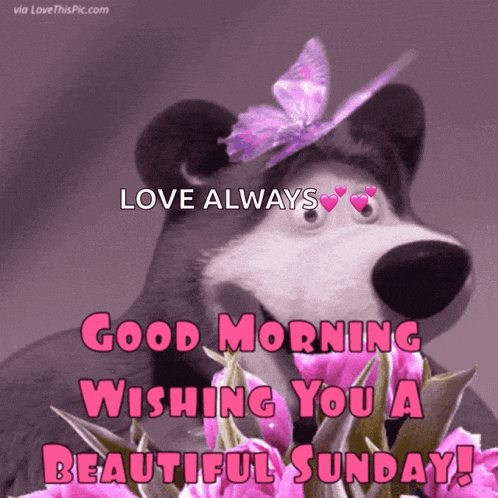Sunday Good GIF